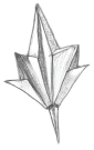 Five point leaf