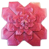 Fractal sakura and variations