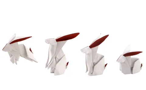 Rabbit 2016