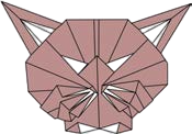 Cat head