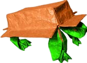Box turtle