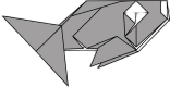 Carp
