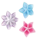 Rosette