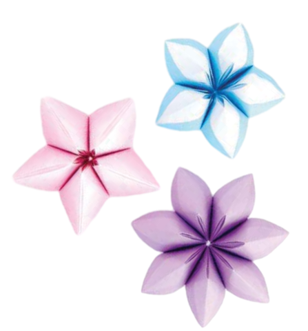 Carambola
