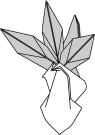 Anatolian orchid