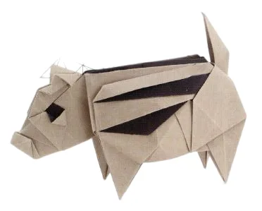 Wild boar piglet