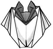 Bat