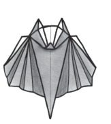 Bat