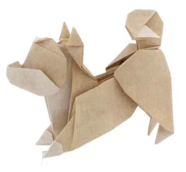Shiba inu