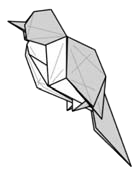 Sparrow
