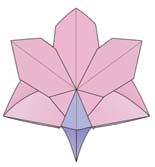 Orchid