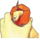 Worm in an apple