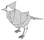 Cardinal