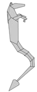 Hippocampus