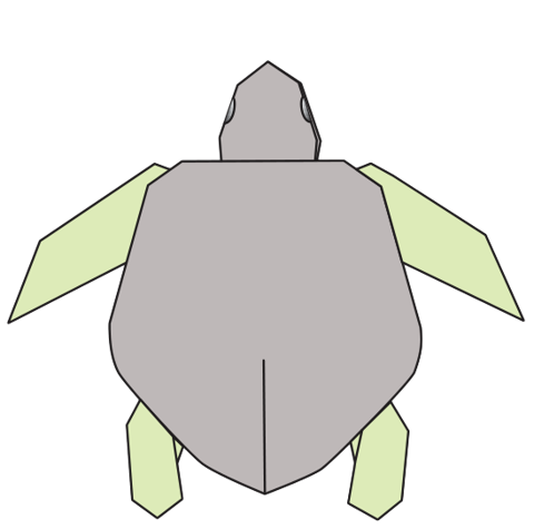 Sea turtle