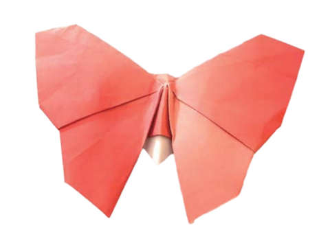 Kupup-kupu pentafly