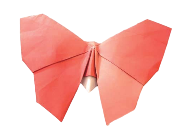 Kupup-kupu pentafly