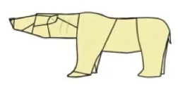 Polar bear