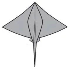 Stingray