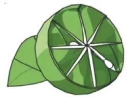 Lime