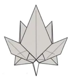 Maple leaf