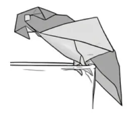 Perching parrot