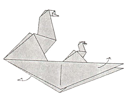 Birds on surfing board