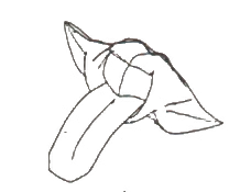 A fold worth a thousand words - Mouth with tounge
