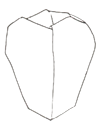 Ginger jar