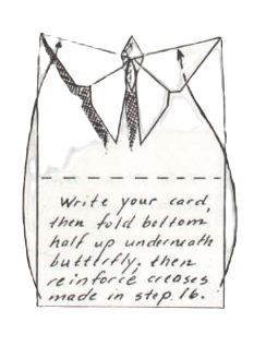 Butterfly card