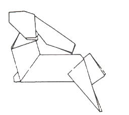 Hare