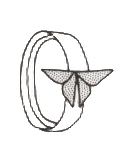 Butterfly ring