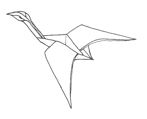 Canada goose