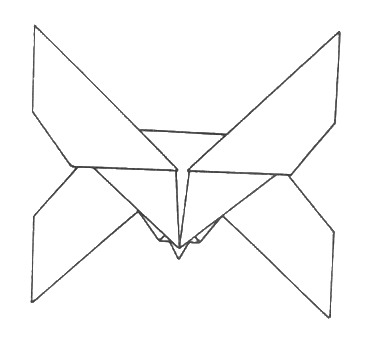 Cat - head