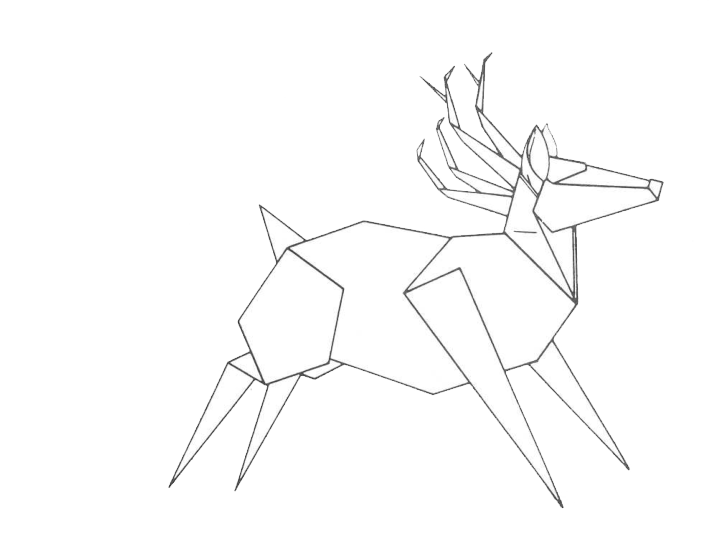 Reindeer