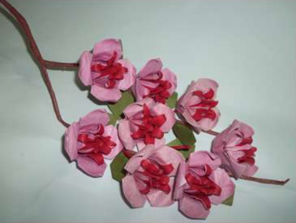 Cherry blossom
