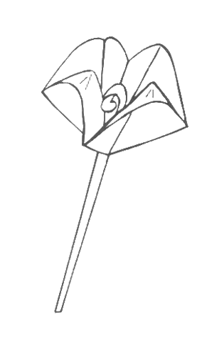 Inside out flower