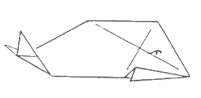 Whale