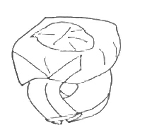 Space ring