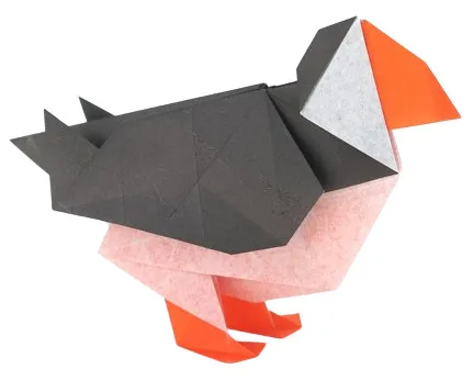 Horned puffin