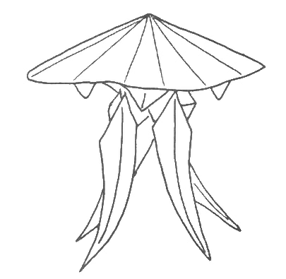 Jellyfish