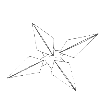 Four kite flower