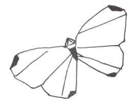 Butterfly - spotted