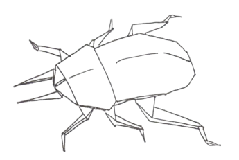 Scarab beetle