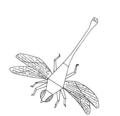 Dragonfly