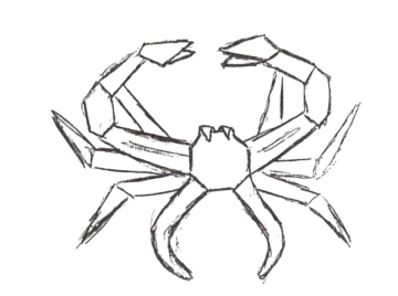 Giant spider crab