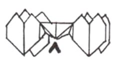 Table - heart