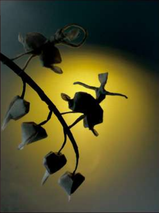 Bleeding heart