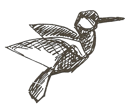 Hummingbird