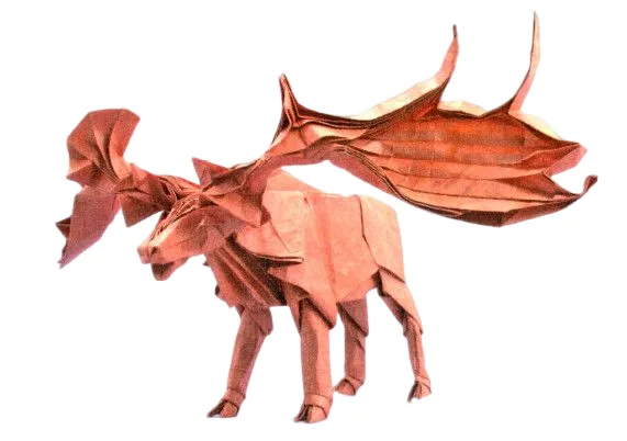 Reindeer
